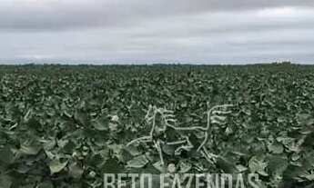 Imagem 4: Imóvel para venda possui 244330000 metros quadrados em Alto da Colina - Nova Mutum - MT