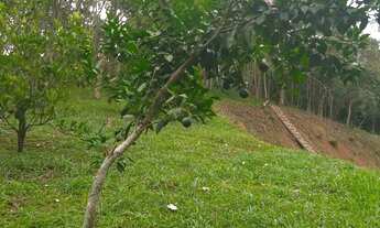 Imagem 4: Chacara do chafariz linda venha conferir