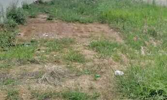 Imagem: Lote com à venda, 0m² - Jardim Botânico