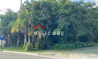 Imagem 4: Lote em Alameda São Caetano - Boracéia - São Sebastião/SP