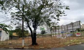 Imagem 2: Terreno à venda e para alugar em Campinas, Jardim Bela Vista, com 1100 m²