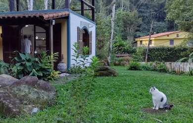 Imagem 6: Guapimirim - Condomínio Subida da Serra Com área de terreno de 1.700,00m²
