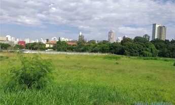 Imagem 4: AREA - ANÁLIA FRANCO - SP