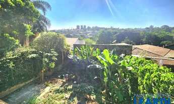 Imagem 5: AREA - NOVA CAMPINAS - SP