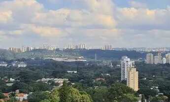 Imagem 6: ALUGA-SE CASA ALTO DE PINHEIROS