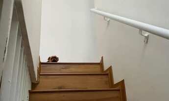 Imagem 5: SOBRADO - CIDADE ADEMAR - SP