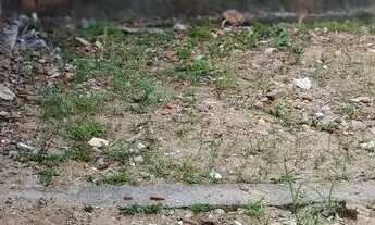 Imagem 7: Casa a venda com terreno