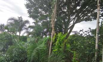 Imagem 7: Chácara 19 mil metros quadrados