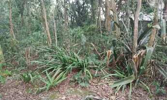 Imagem 4: Terreno no Condomínio Caravelas Santa Maria