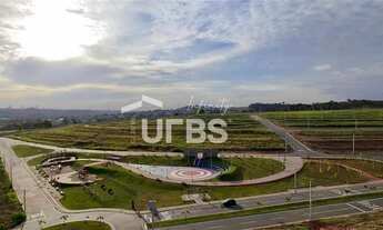 Imagem 4: VINHAS FLAMBOYANT