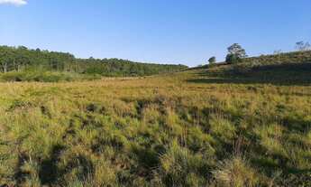 Imagem 6: CAPELA DE SANTANA - Terreno Padrão - Boa Vista