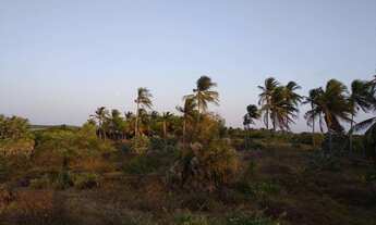 Imagem 2: Área em atins Terreno / lote com venda por R$7.000.000