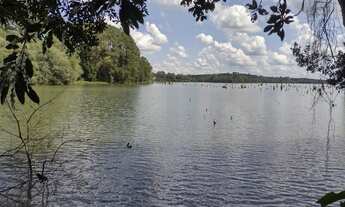 Imagem 5: Chácara em Campo Largo