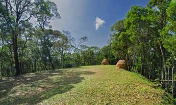 Imagem 2: Fazenda/Sítio/Chácara para venda tem 80000 metros quadrados com 3 quartos