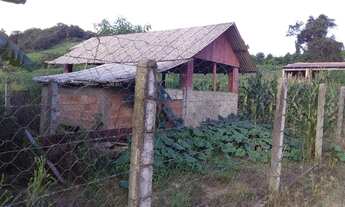 Imagem 4: Fazenda/Sítio/Chácara para venda tem 1200 metros quadrados com 3 quartos