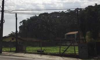 Imagem 5: EXCELENTE TERRENO À VENDA NO BAIRRO AMERICA EM JOINVILLE/SC