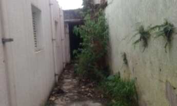 Imagem 3: GALPÃO - VILA MASCOTE - SP