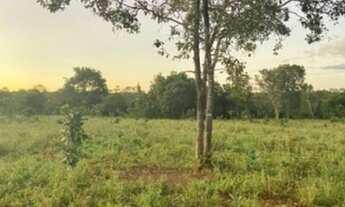 Imagem 5: Fazenda rural no município de caroebe