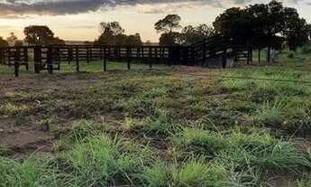 Imagem 4: FAZENDA À VENDA EM DUERE - TO - 435.6 HECTARES (DUPLA APTIDÃO