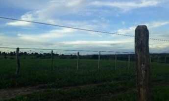 Imagem 3: FAZENDA Fazenda / sítio com venda por R$1.200.000