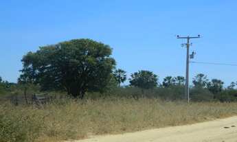 Imagem 11: 1554 ha. Solar. Eólica. Gado. Irrigação. Rio São Francisco. Oportunidade.