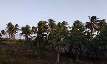 Imagem 7: Área em atins Terreno / lote com venda por R$7.000.000