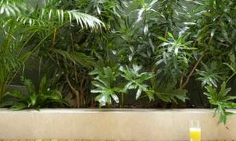 Imagem 7: Apartamento Garden dos sonhos à venda no Jardim Botânico, 163 m2, Rio de Janeiro - RJ