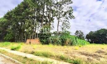 Imagem 4: Pelotas - Terreno Padrão - Laranjal