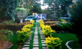 Imagem 7: SITIO COM 4 QUARTOS 2 SUÍTES 4200M EM ABRANTES