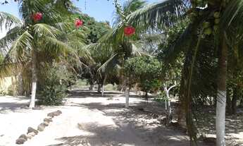 Imagem 2: Sítio/Chácara/granja em Vera Cruz-Rn com excelente casa, piscina,baías,poços