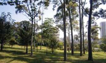 Imagem 5: JARDIM AVELINO - TERRENO - LOCAL NOBRE