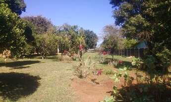 Imagem 9: Colônia Dona Luiza