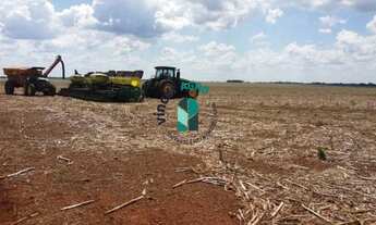 Imagem 6: Fazenda em Divinópolis do Tocantins