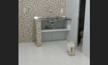 Imagem 3: Aluga-se casa no albano franco