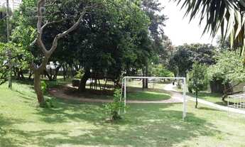 Imagem 2: Casas Residenciais, Jardim Marajoara - São Paulo