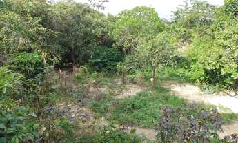 Imagem 2: Vendo terreno na vila Itamar