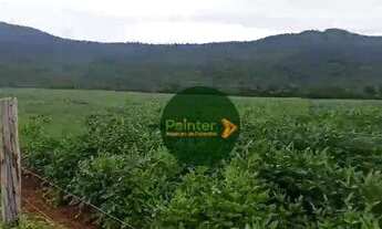 Imagem 5: Fazenda com 2 dormitórios à venda, 8712000 m² por R$ 17.100.000 - Zona Rural - Porangatu/G