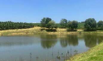 Imagem 7: VENDO EXCELENTE PROPRIEDADE RURAL A VENDA EM IPATINGA!