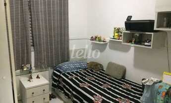 Imagem 7: São Paulo - Apartamento Padrão - Tatuapé