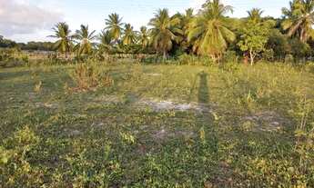 Imagem 5: Terreno próximo à lagoa do banana