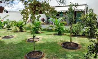 Imagem 5: Casa Térrea Condomínio Mini Chácaras do Lago Sul