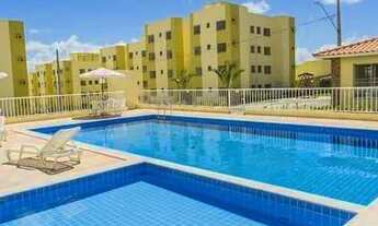 Imagem: Mais Viver terra Bela