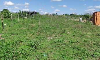 Imagem 4: Terreno com meia tarefa e uma casa em Glória