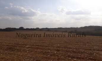 Imagem 3: Fazenda com 41 alqueires (Nogueira Imóveis Rurais