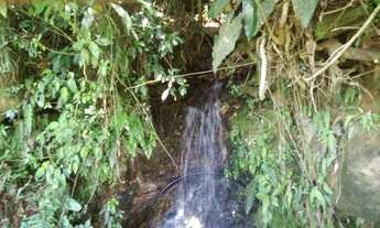 Imagem 7: Área de terra a venda em Visconde de Mauá - RJ