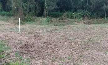 Imagem 2: Terreno para Venda em Ubatuba, Rio da Prata