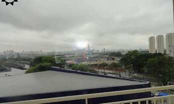 Imagem 4: APTO - SÃO PAULO