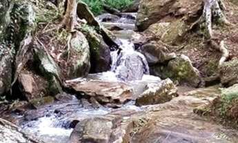 Imagem 3: Vendo Sitio 54.000 m² Com Renda - Aceito Permuta