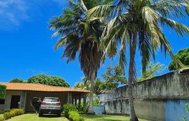 Imagem 4: Chácara no mosqueiro