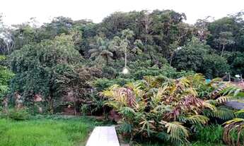 Imagem 3: Excelente oportunidade Casa em Aldeia